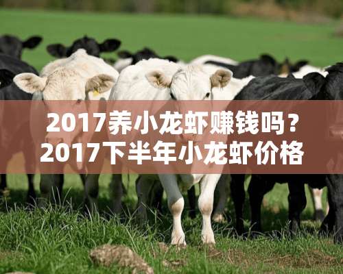 2017养小龙虾赚钱吗？2017下半年小龙虾价格