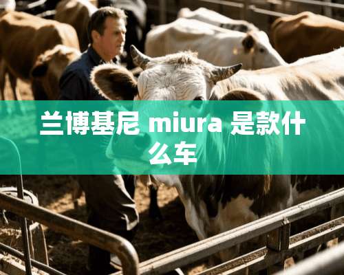 兰博基尼 miura 是款什么车