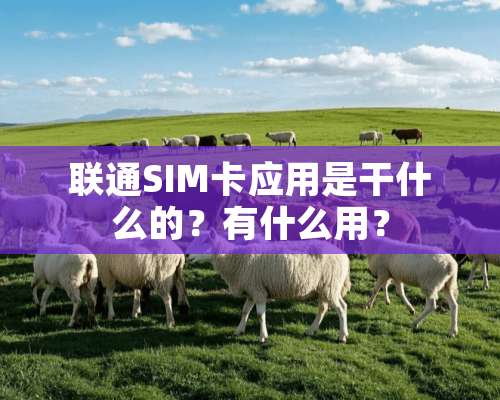 联通SIM卡应用是干什么的？有什么用？