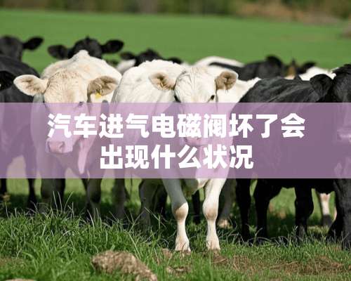 汽车进气电磁阀坏了会出现什么状况