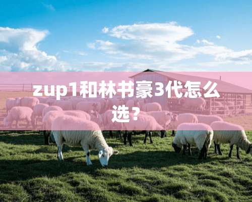 zup1和林书豪3代怎么选？