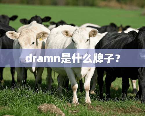 dramn是什么牌子？