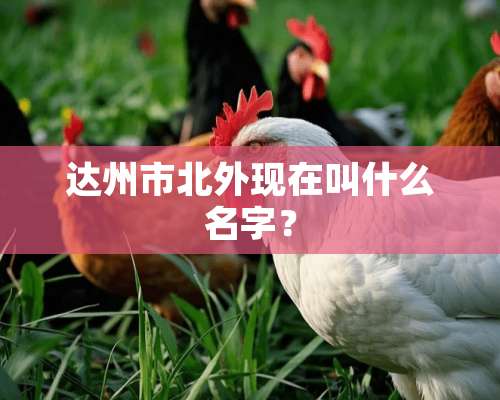 达州市北外现在叫什么名字？