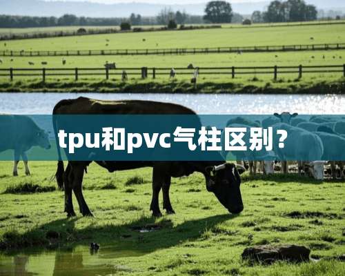 tpu和pvc气柱区别？