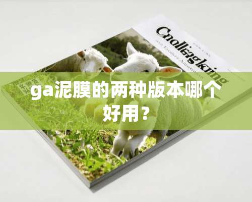 ga泥膜的两种版本哪个好用？