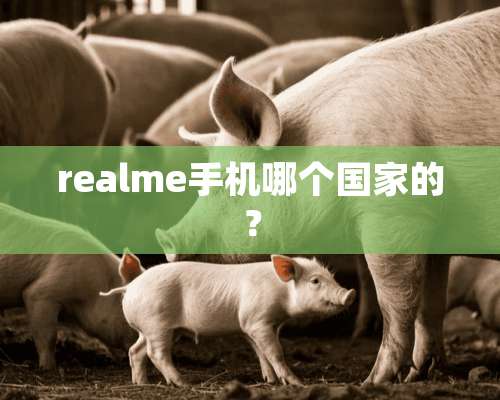 realme手机哪个国家的？