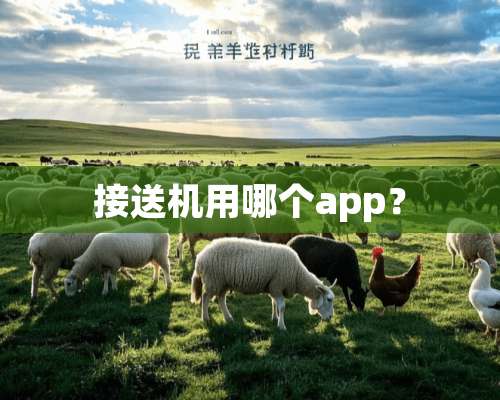 接送机用哪个app？