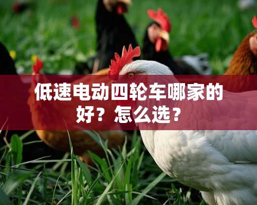 低速电动四轮车哪家的好？怎么选？