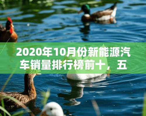 2020年10月份新能源汽车销量排行榜前十，五菱第一。