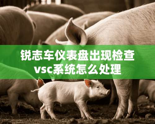 锐志车仪表盘出现检查vsc系统怎么处理