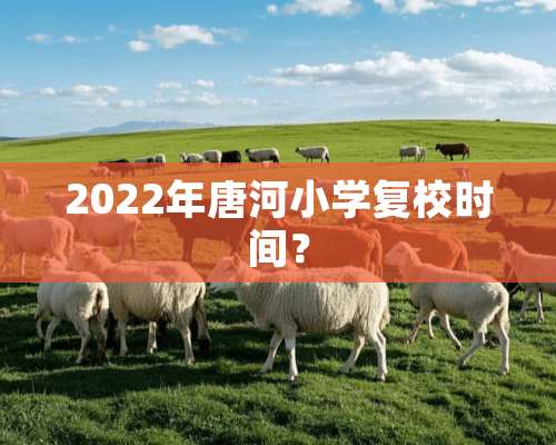 2022年唐河小学复校时间？