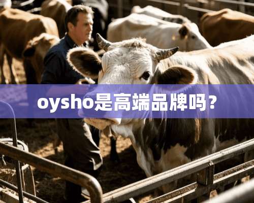 oysho是高端品牌吗？