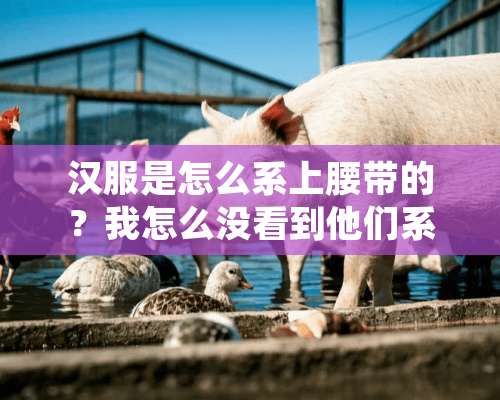 汉服是怎么系上腰带的？我怎么没看到他们系的痕迹呢？