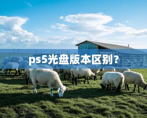 ps5光盘版本区别？