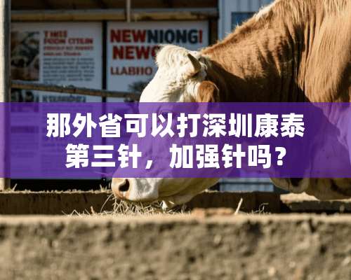 那外省可以打深圳康泰第三针，加强针吗？