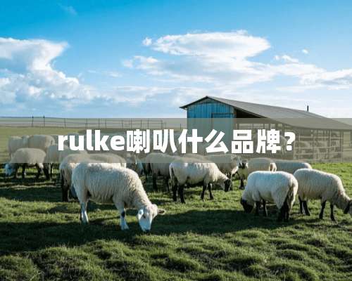 rulke喇叭什么品牌？