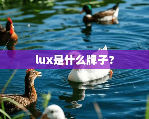 lux是什么牌子？