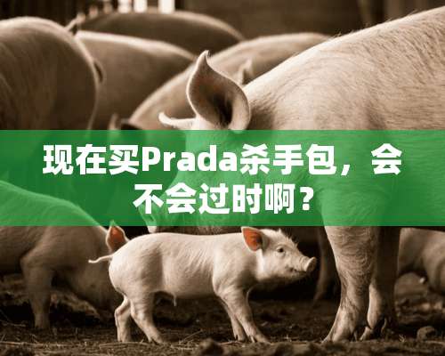 现在买Prada**包，会不会过时啊？