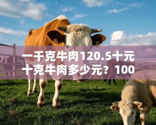 一千克牛肉120.5十元十克牛肉多少元？100克牛肉多少元？