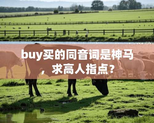 buy买的同音词是神马，求高人指点？