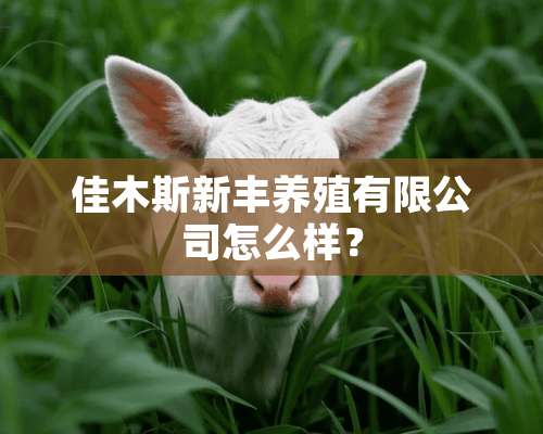 佳木斯新丰养殖有限公司怎么样？