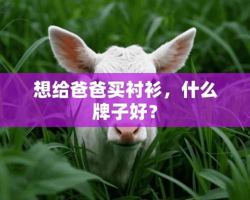 想给爸爸买衬衫，什么牌子好？