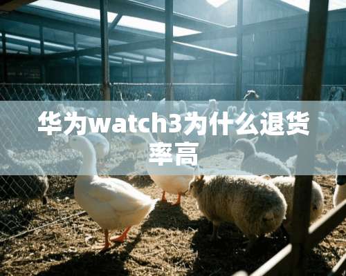 华为watch3为什么退货率高