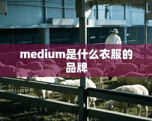 medium是什么衣服的品牌