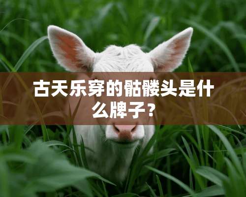 古天乐穿的骷髅头是什么牌子？