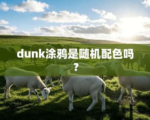 dunk涂鸦是随机配色吗？