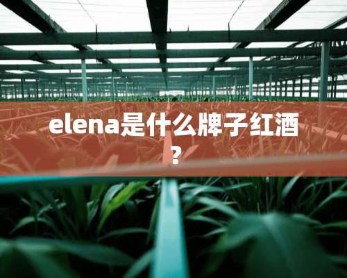 elena是什么牌子红酒？