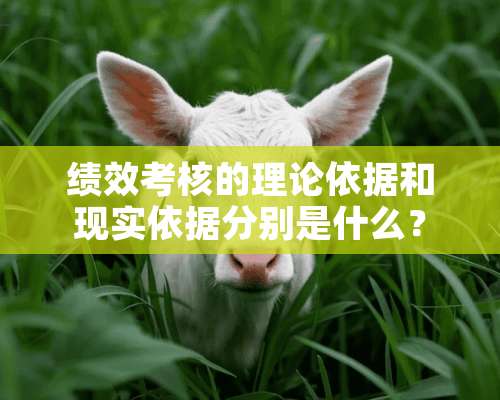 绩效考核的理论依据和现实依据分别是什么？