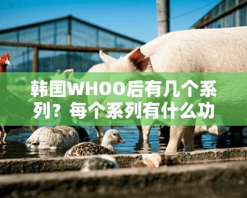 韩国WHOO后有几个系列？每个系列有什么功效？