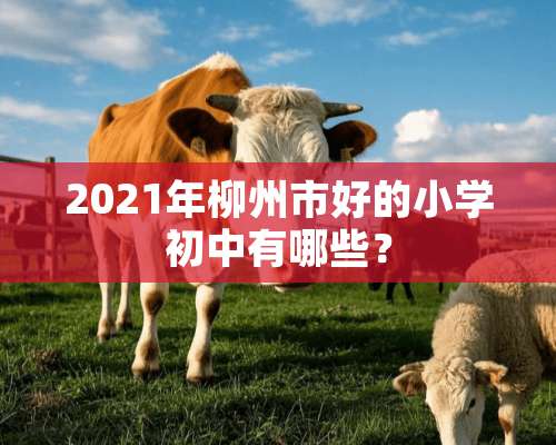 2021年柳州市好的小学初中有哪些？