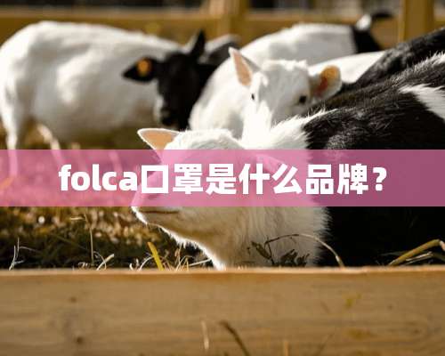 folca口罩是什么品牌？