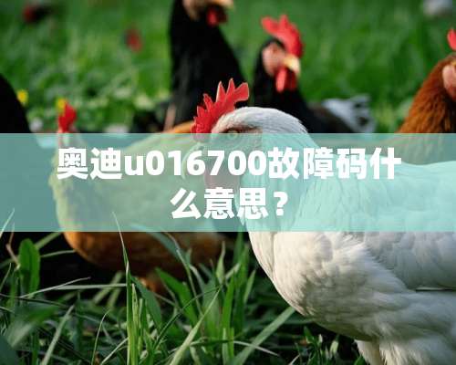 奥迪u016700故障码什么意思？