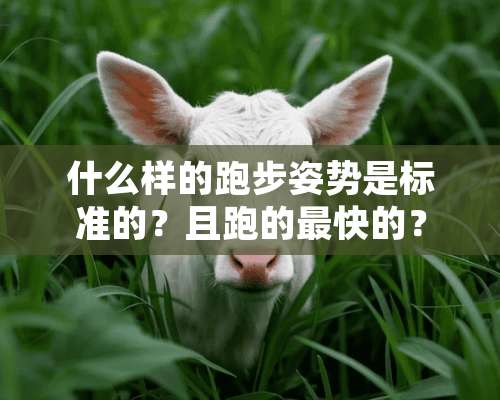 什么样的跑步姿势是标准的？且跑的最快的？