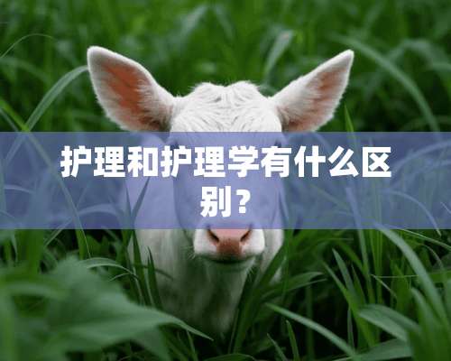 护理和护理学有什么区别？