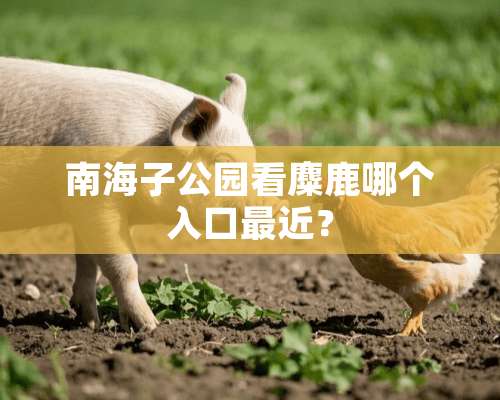 南海子公园看麋鹿哪个入口最近？