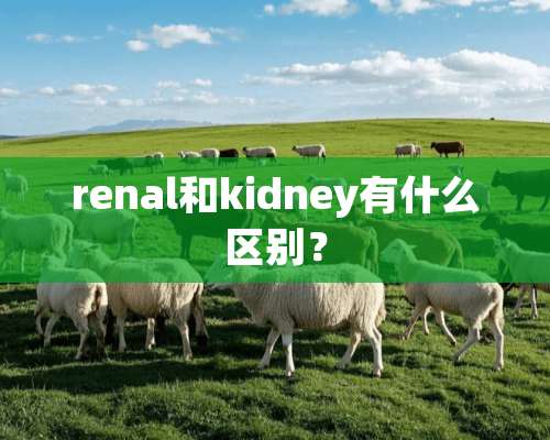 renal和kidney有什么区别？