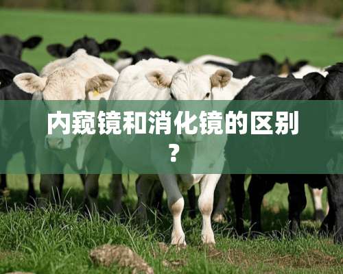 内窥镜和消化镜的区别？