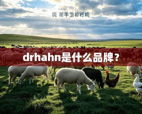 drhahn是什么品牌？