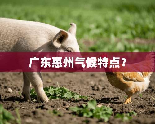 广东惠州气候特点？