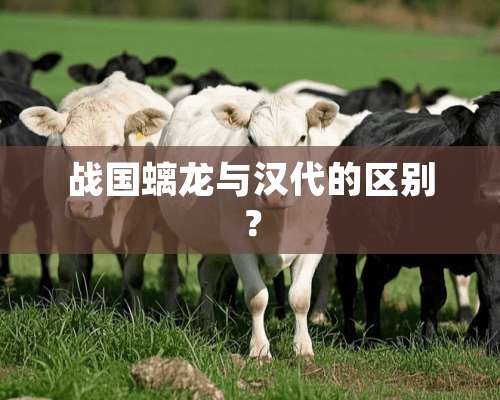 战国螭龙与汉代的区别？