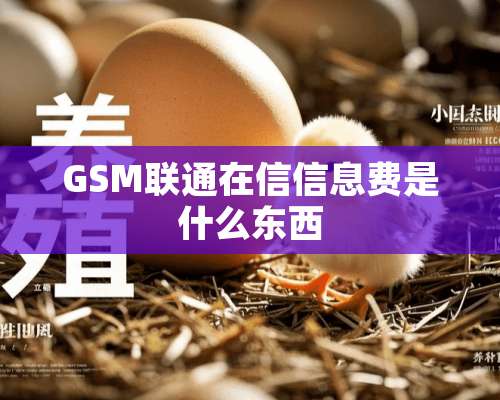 GSM联通在信信息费是什么东西