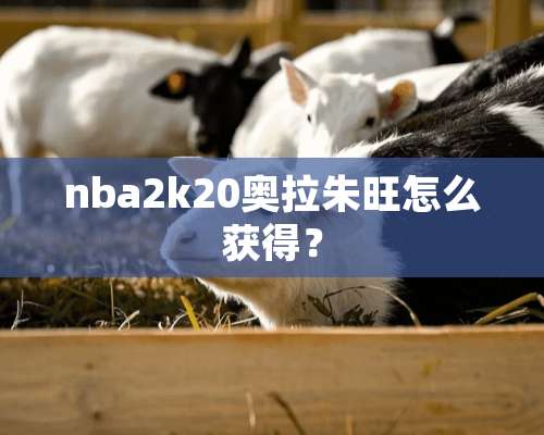 nba2k20奥拉朱旺怎么获得？