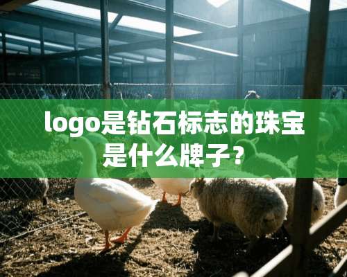 logo是钻石标志的珠宝是什么牌子？