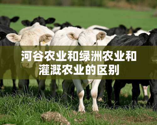 河谷农业和绿洲农业和灌溉农业的区别