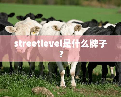 streetlevel是什么牌子？