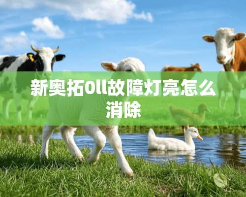 新奥拓0ll故障灯亮怎么消除